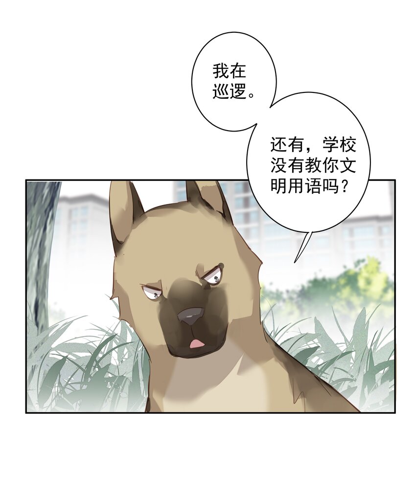 049我要正式和你约会32