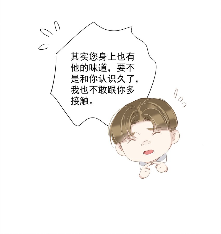 041 让脏话猫自己找吃的7