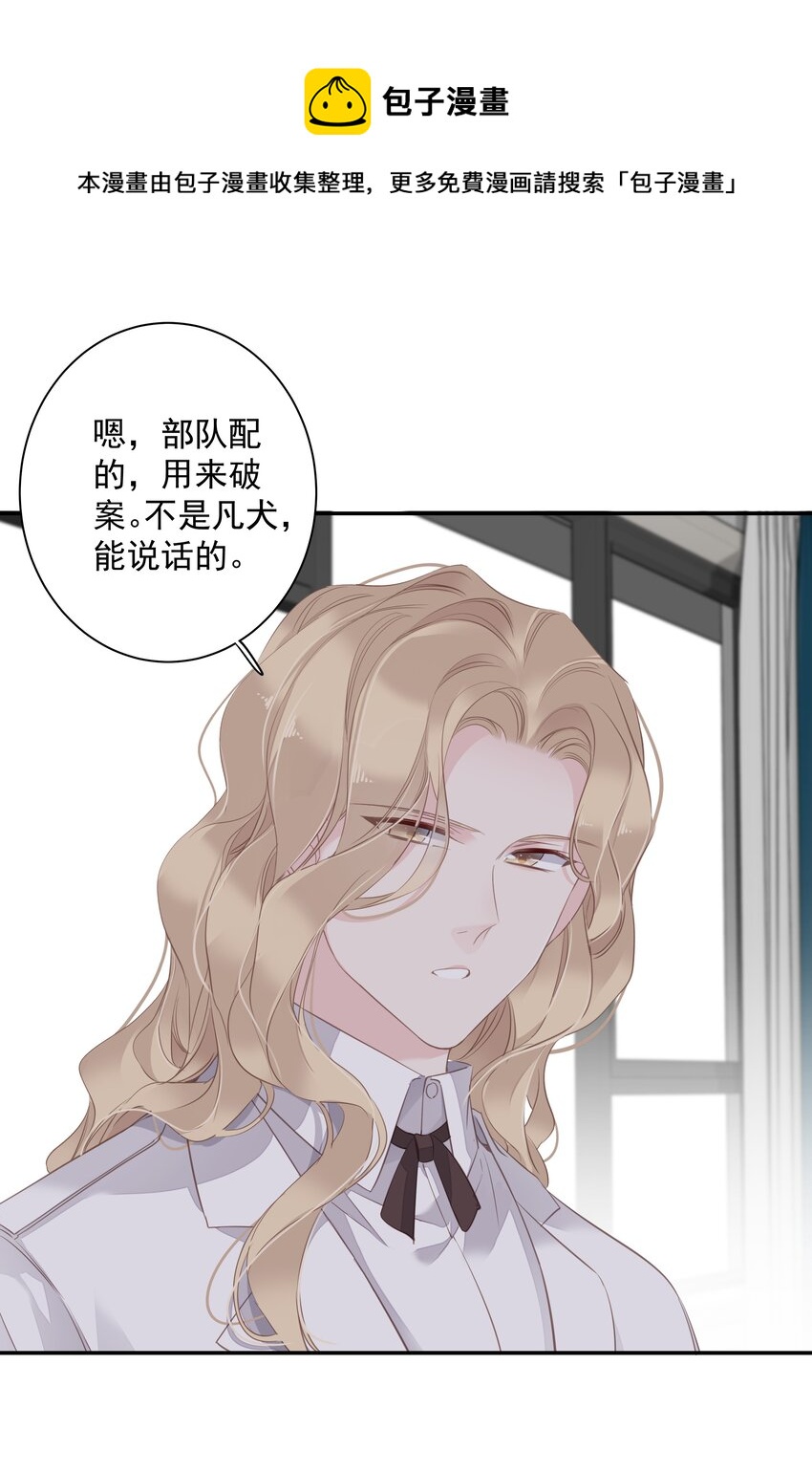 036 黑背出场！44