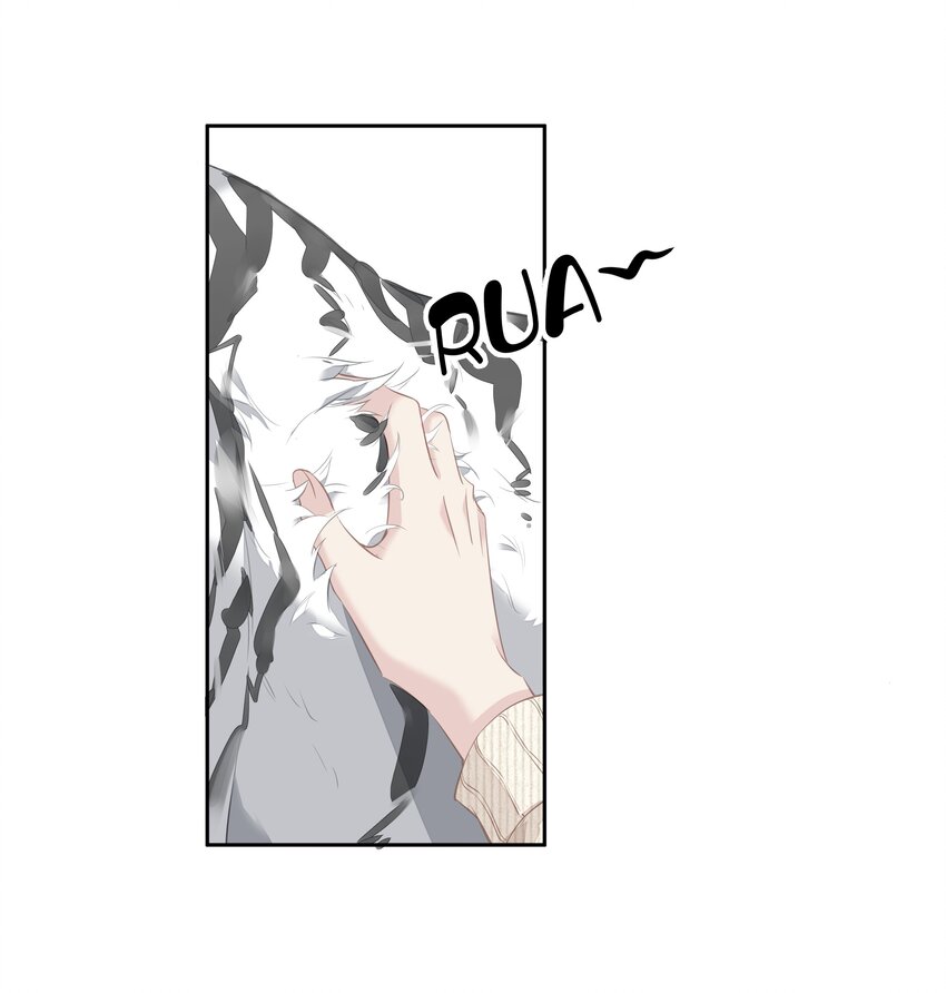 035 rua~老虎毛的手感19