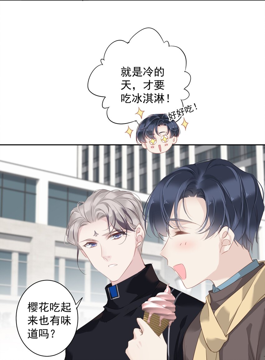 044众筹猫粮38