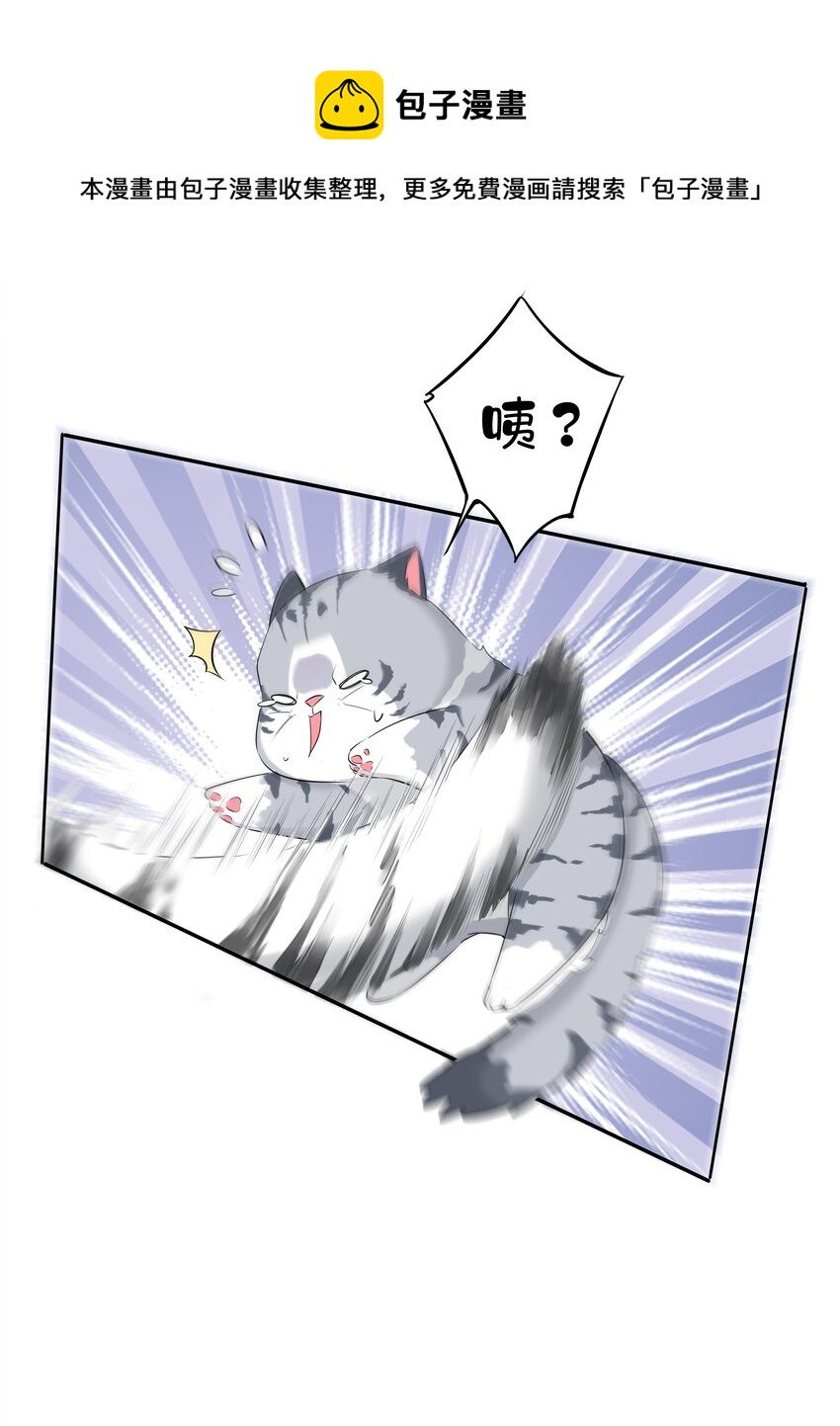 035 rua~老虎毛的手感36