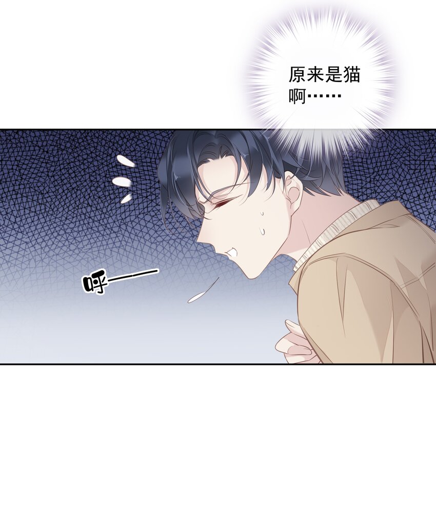 036 黑背出场！15
