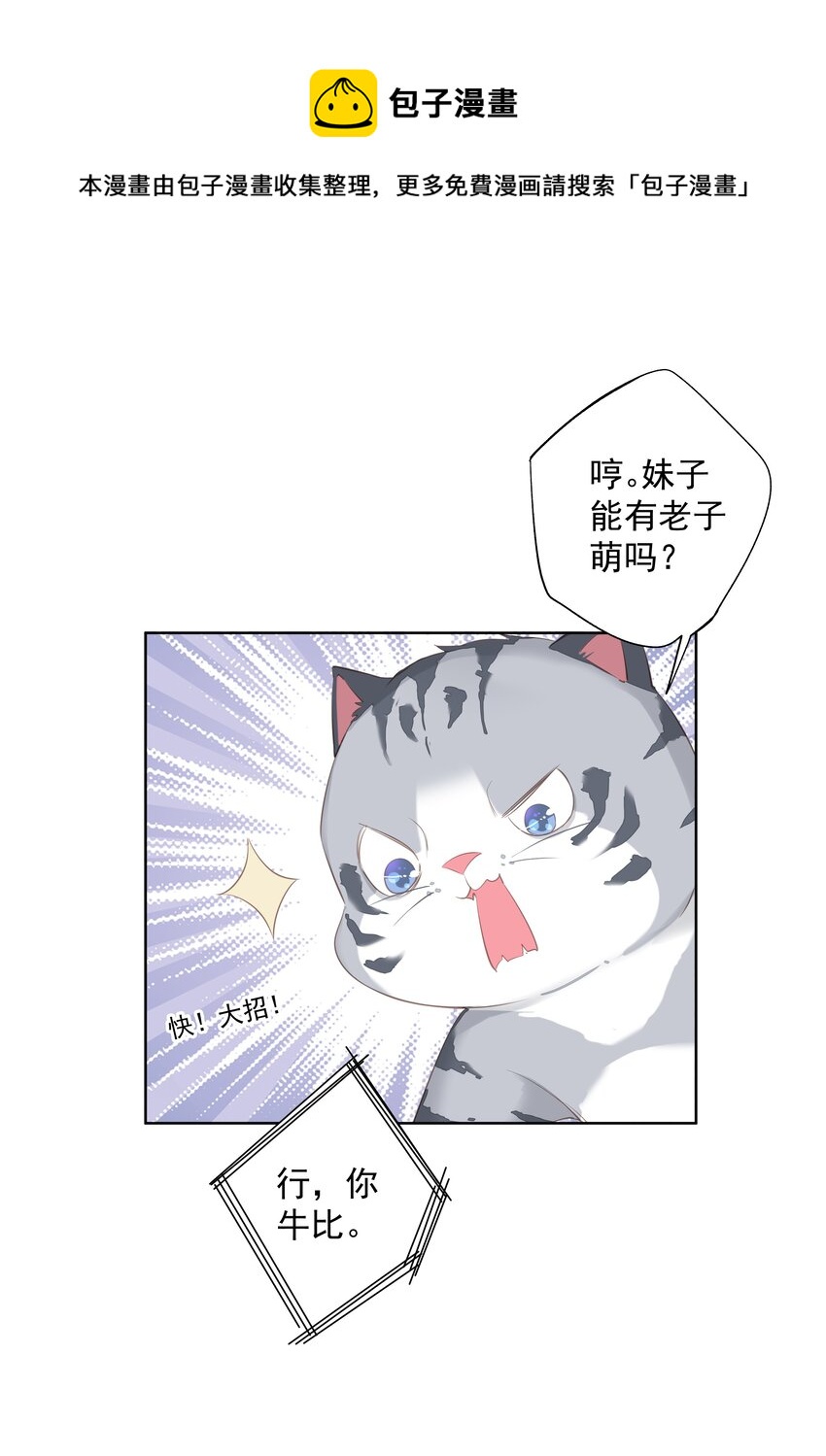 037 你是我的天敌36