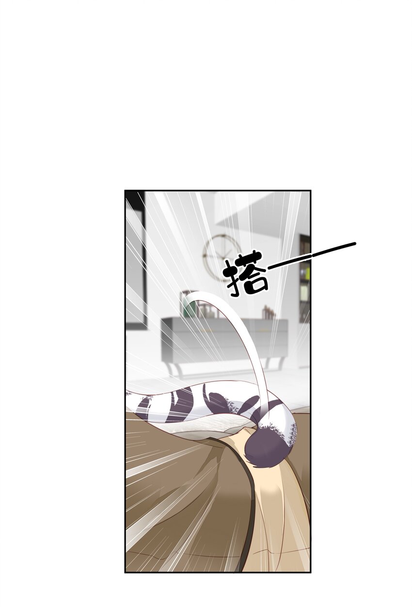 006 我可以摸一下吗？12