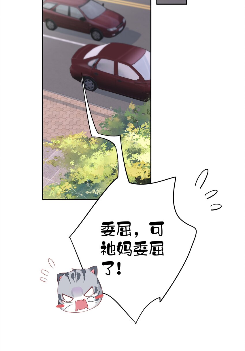 037 你是我的天敌11