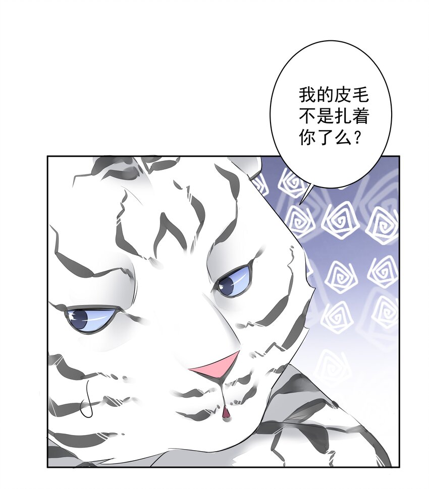 035 rua~老虎毛的手感43