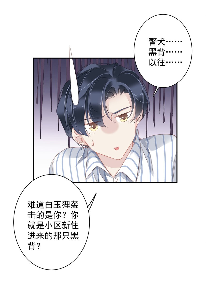 036 黑背出场！46
