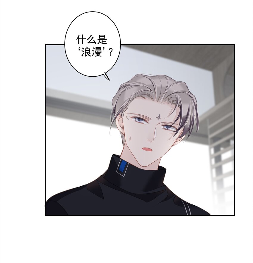 044众筹猫粮20