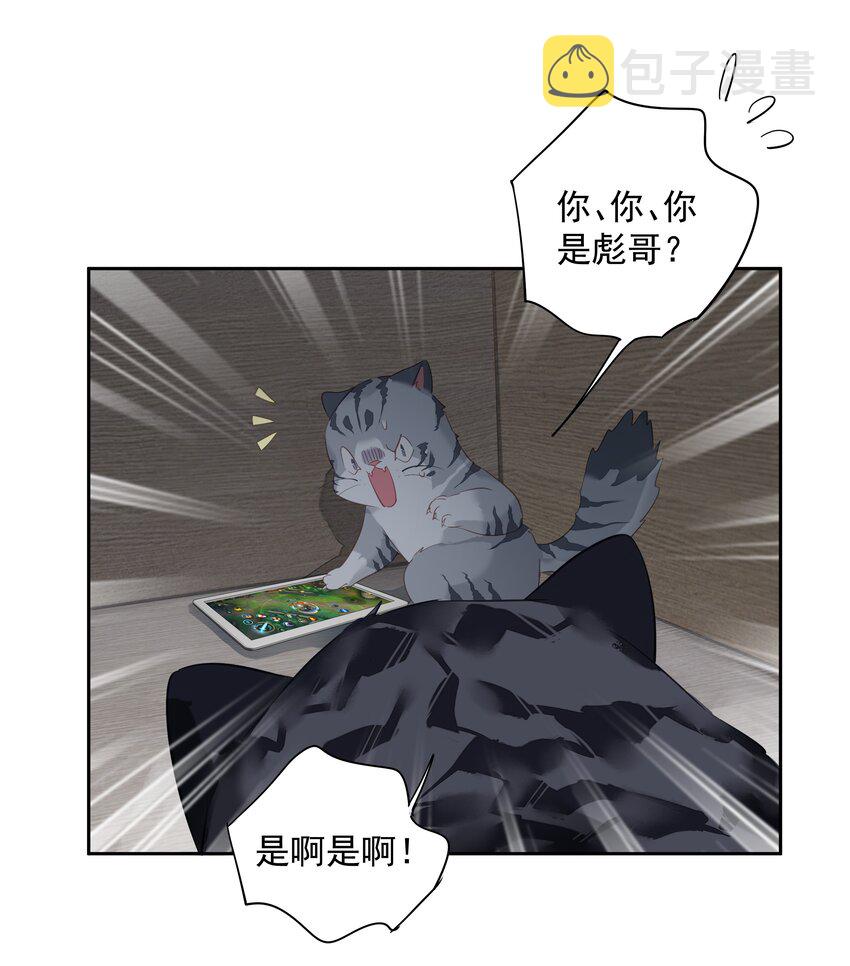 054 狂萌！是我阿彪儿（番外）9