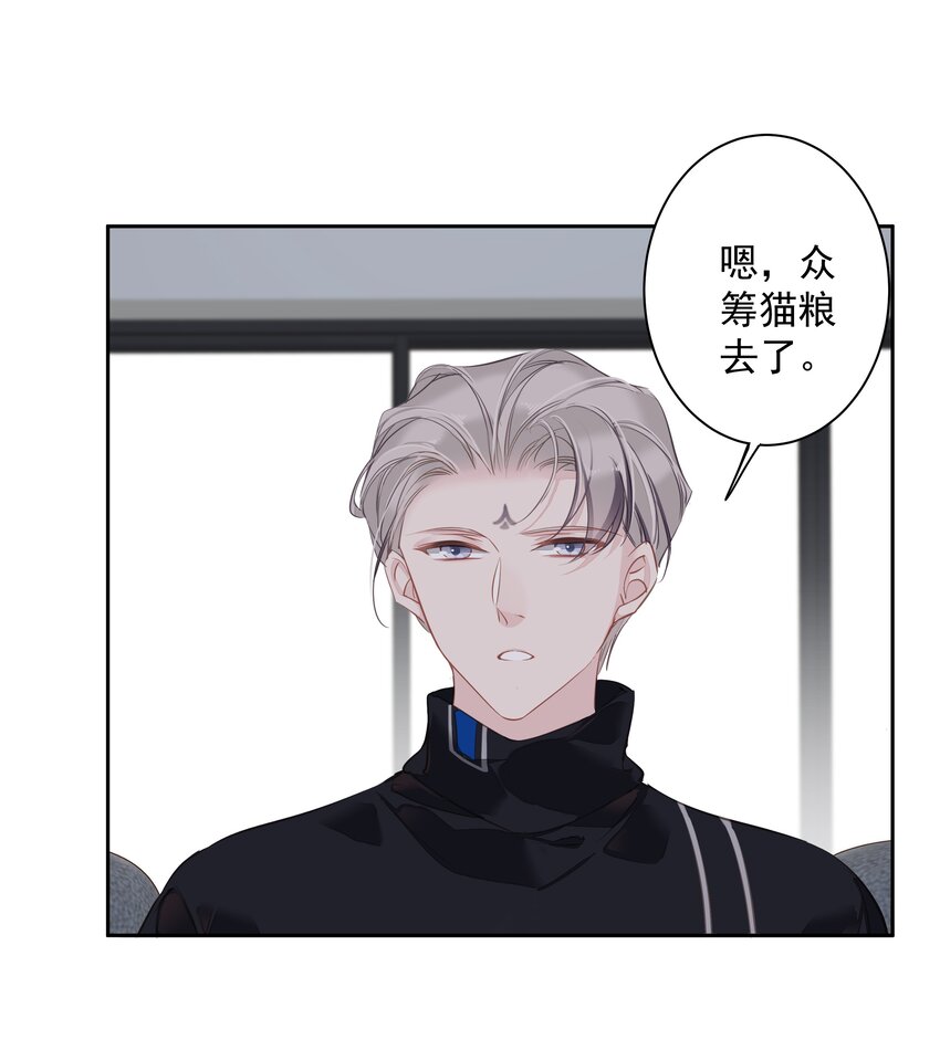 044众筹猫粮10