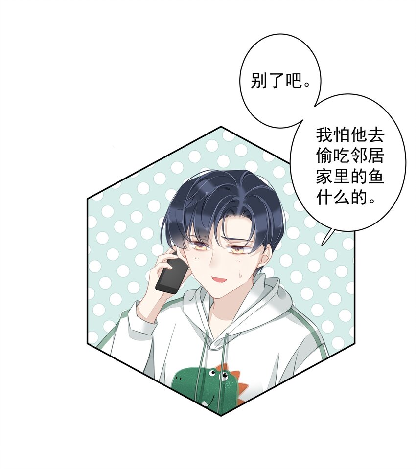 041让脏话猫自己找吃的23