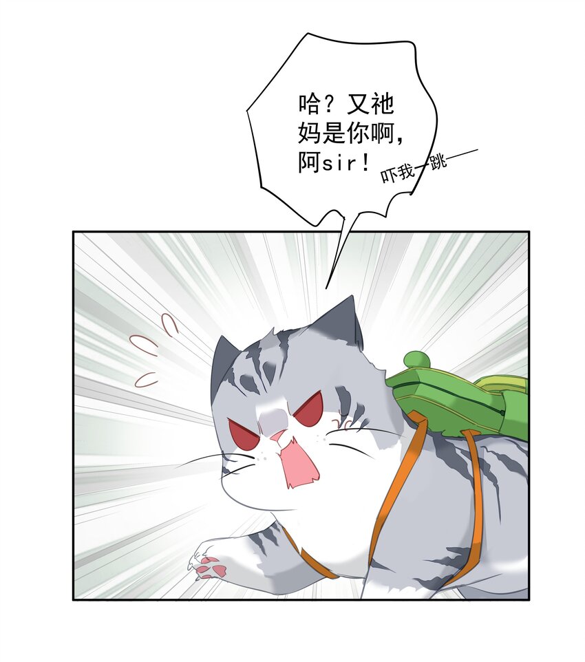 049我要正式和你约会31