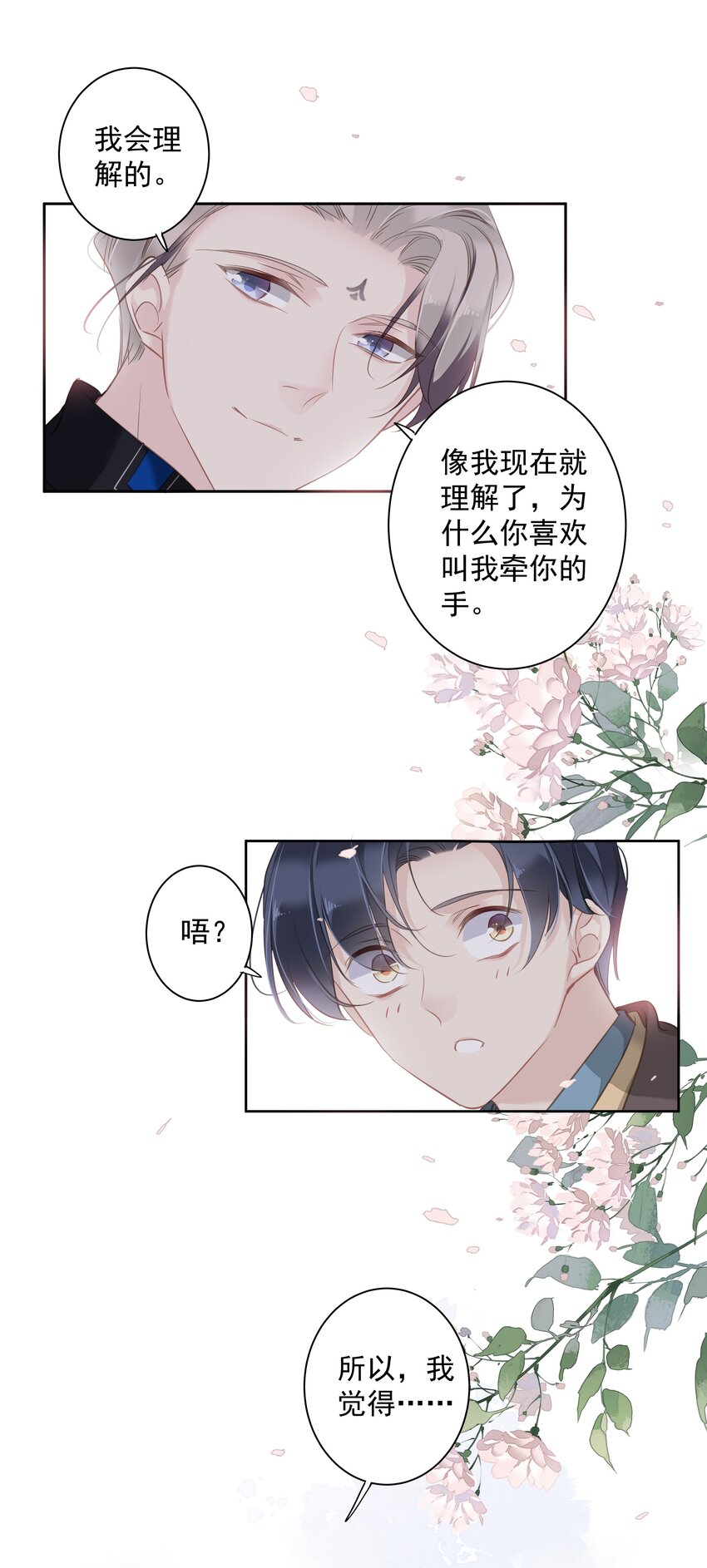 044众筹猫粮35