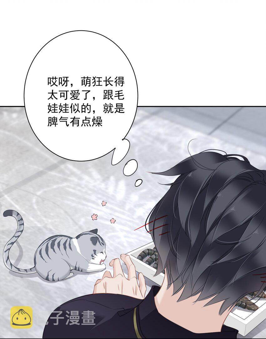054 狂萌！是我阿彪儿（番外）31