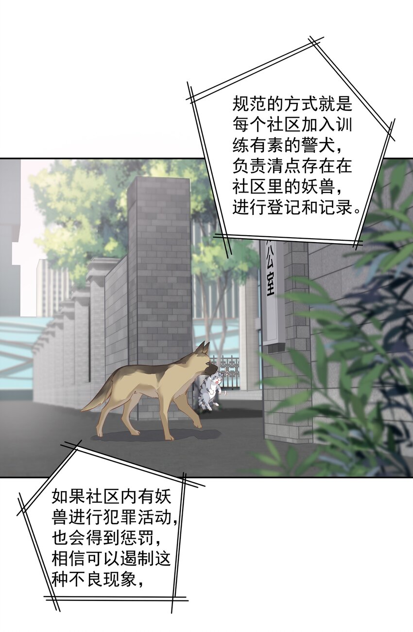 047白玉狸去上学8