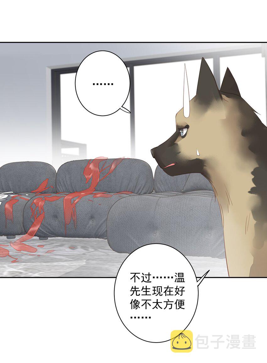 058 黑背也化人了9