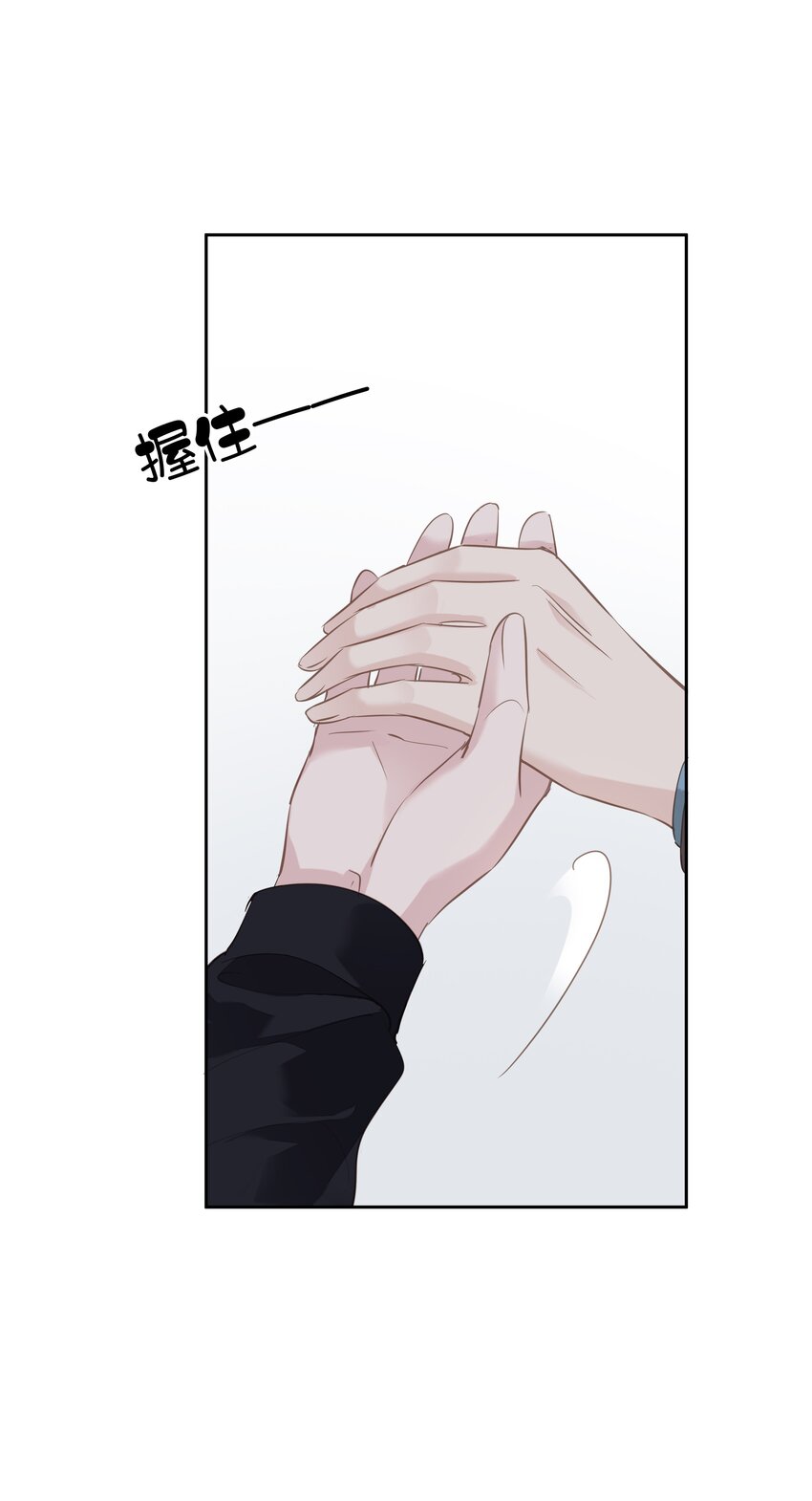 044众筹猫粮28
