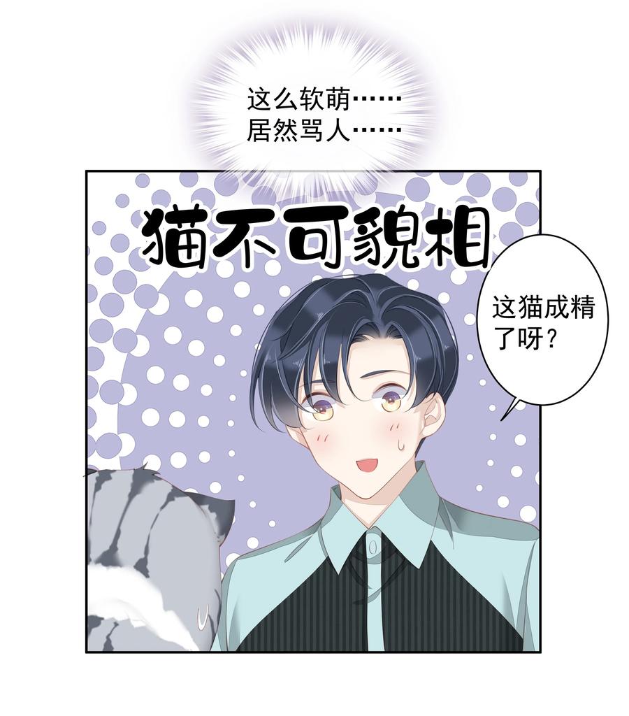022 白玉狸25