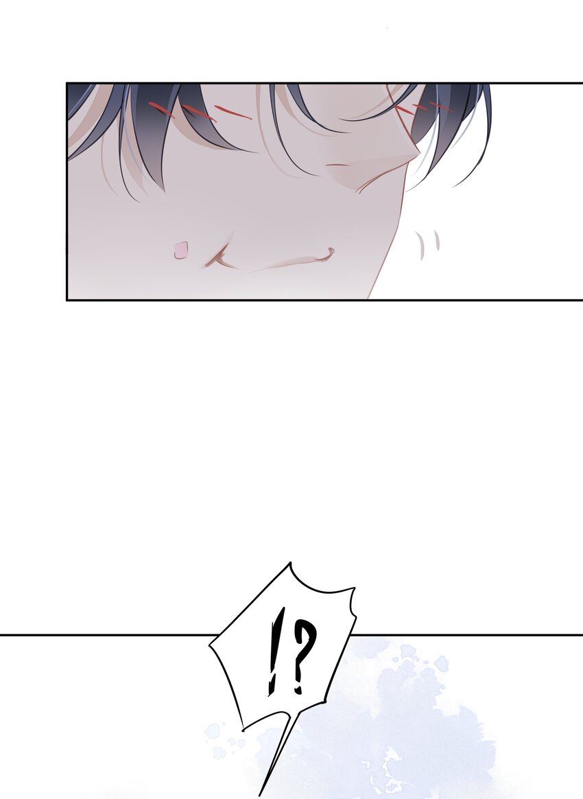 044众筹猫粮40