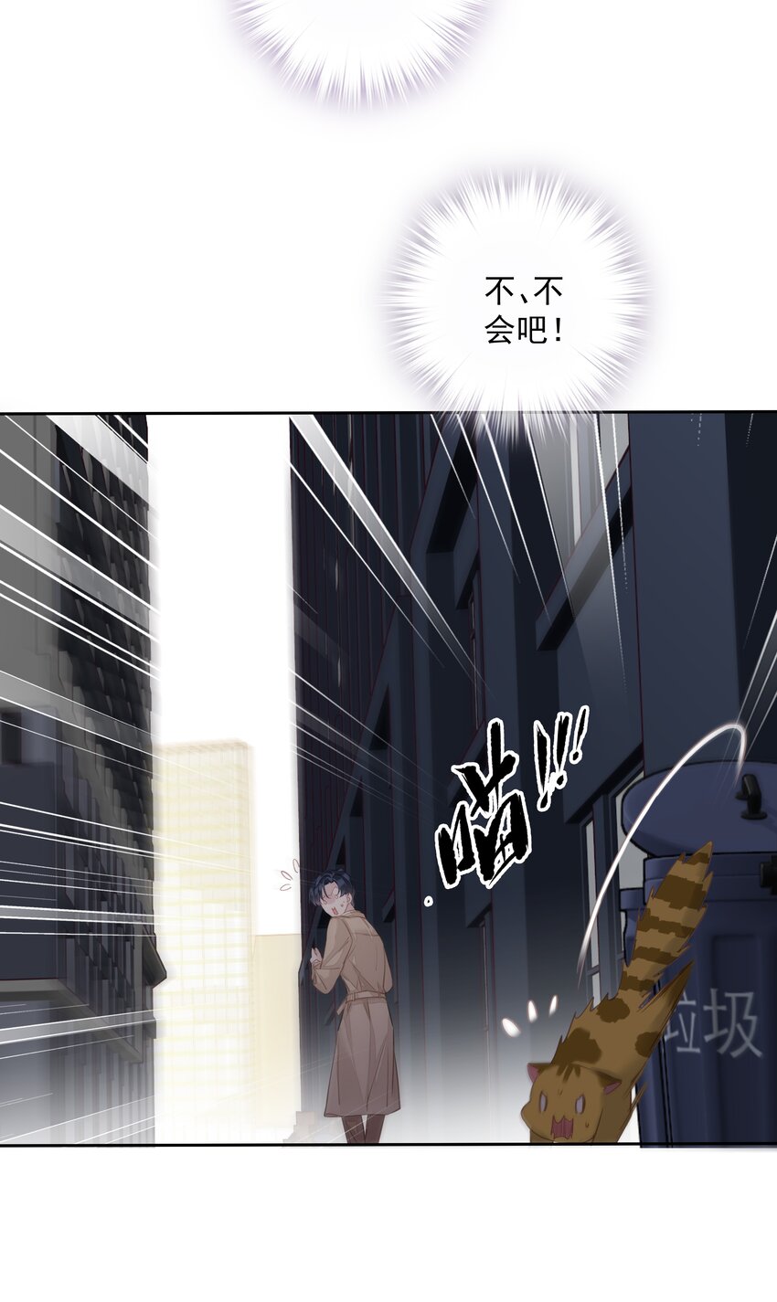 036 黑背出场！14