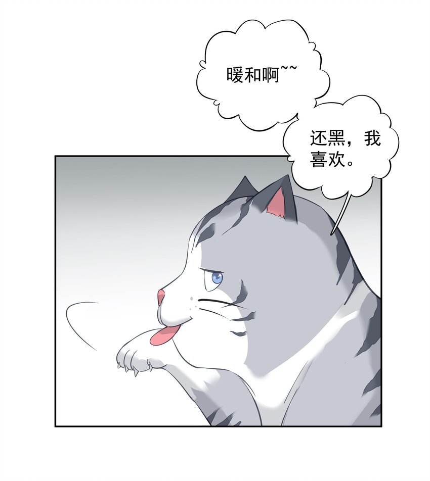051你只能看着我4