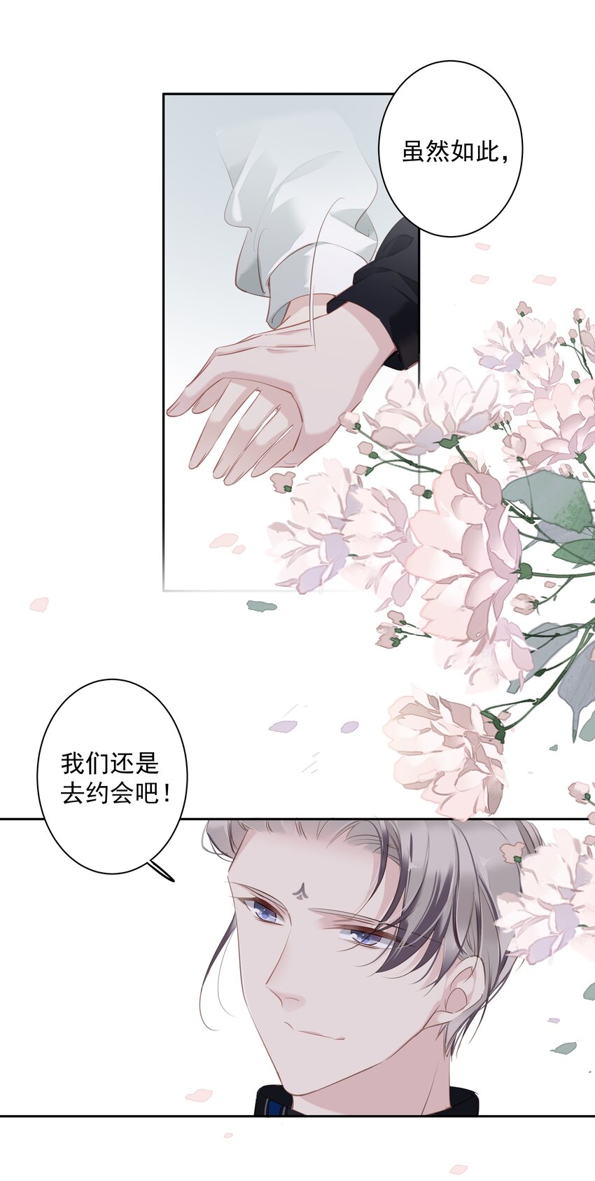 044众筹猫粮17