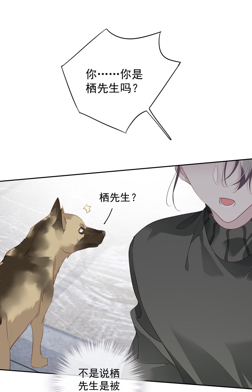 058 黑背也化人了10
