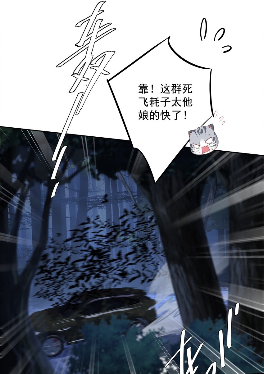 060 遇袭17