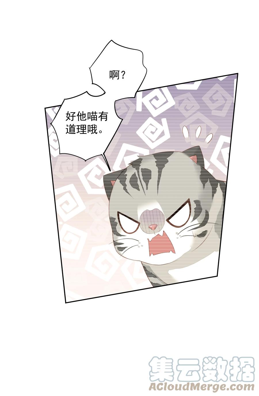 022 白玉狸38