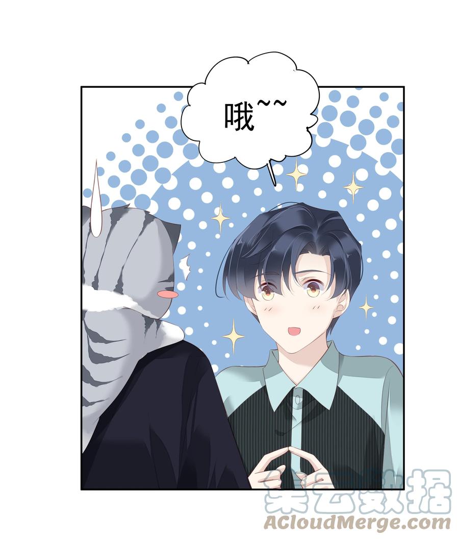 022 白玉狸30