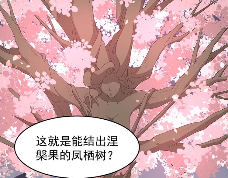 第34话 涅槃果18