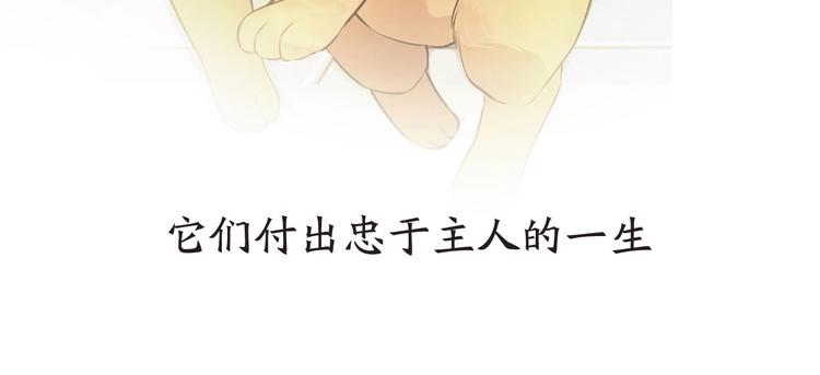 第1+2+3话 特殊的客人256