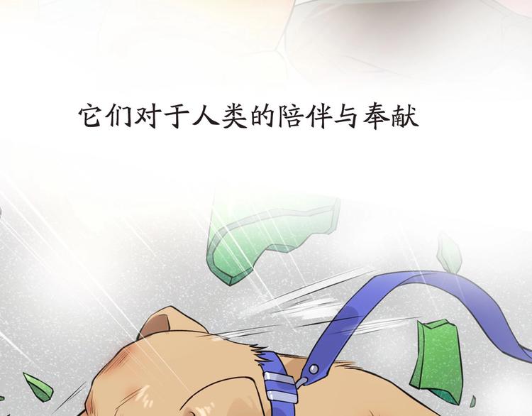 第1+2+3话 特殊的客人253