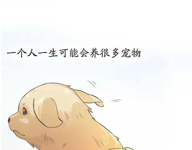 第1+2+3话 特殊的客人250