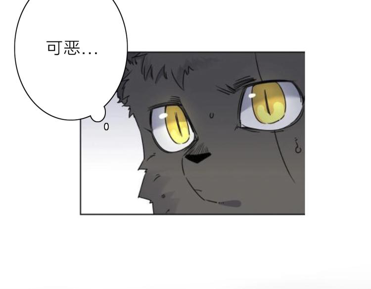 第26话  变身！25