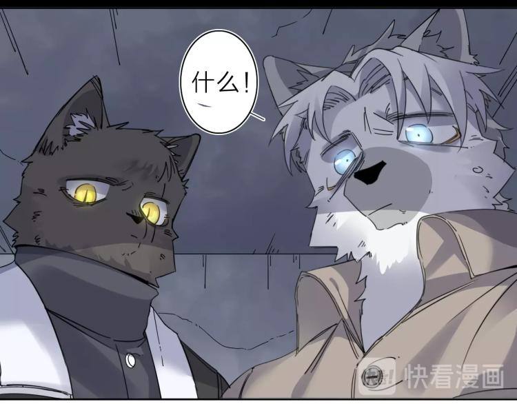 第21话 东方篇 黑猫酱70
