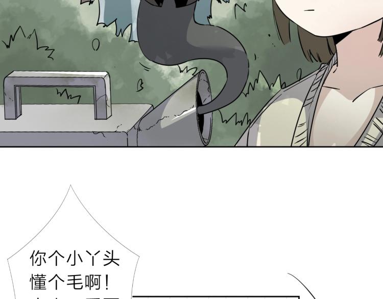 番外篇 斗地主与角色狂欢25