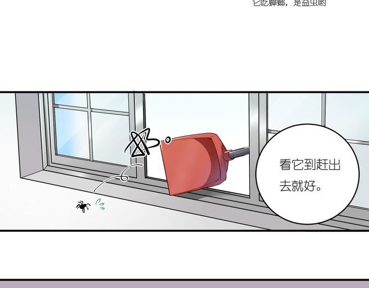 第6话 天降第三者19