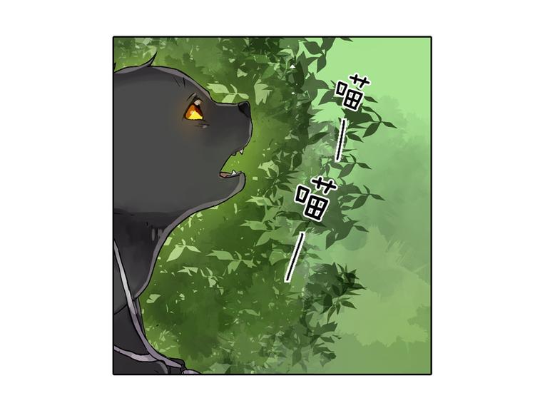 第1话 被人气王子缠上？61