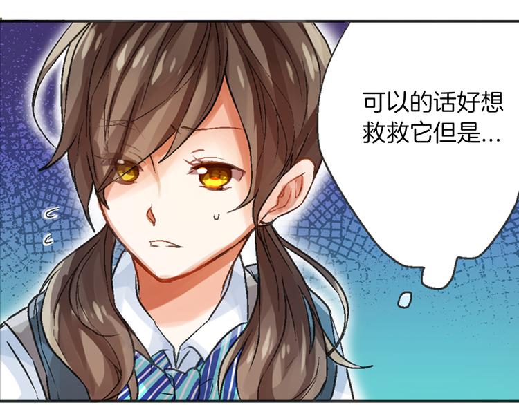 第1话 被人气王子缠上？53