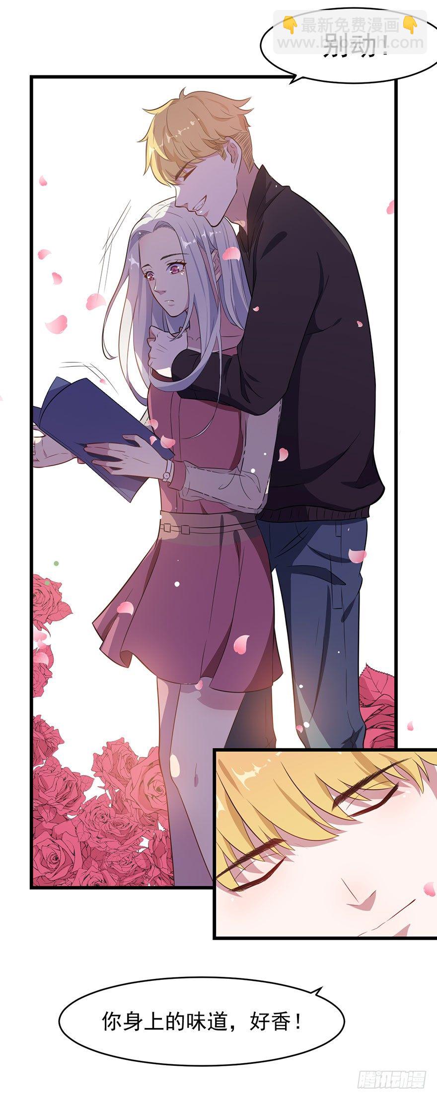 019花美男的追求4