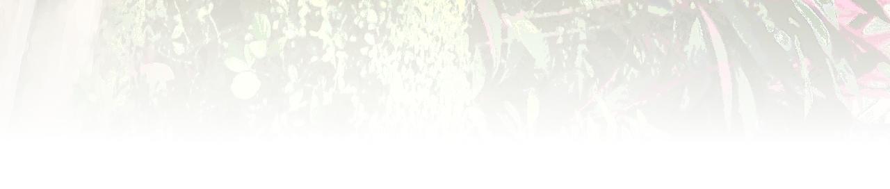 第36话 各自的生活143