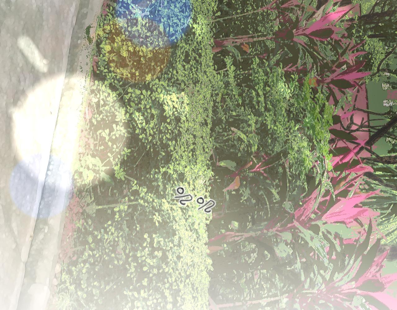 第36话 各自的生活142