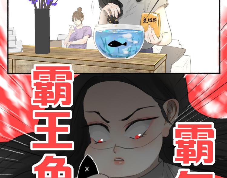 突然更新的彩蛋！5