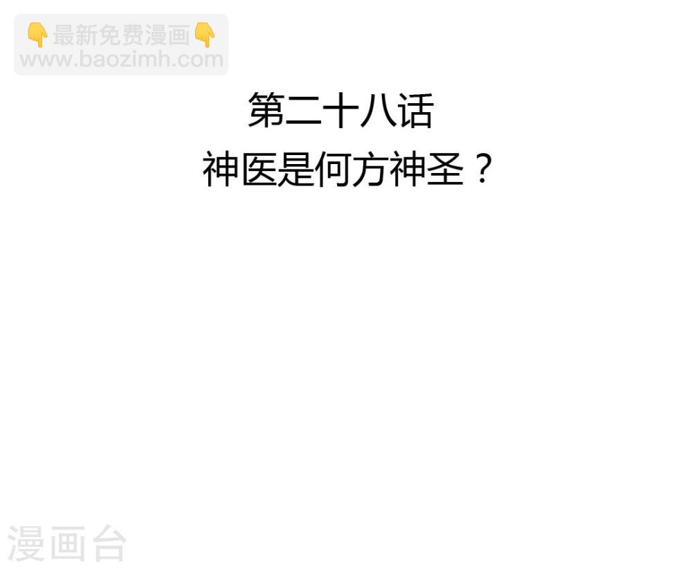 第28话 神医是何方神圣？2