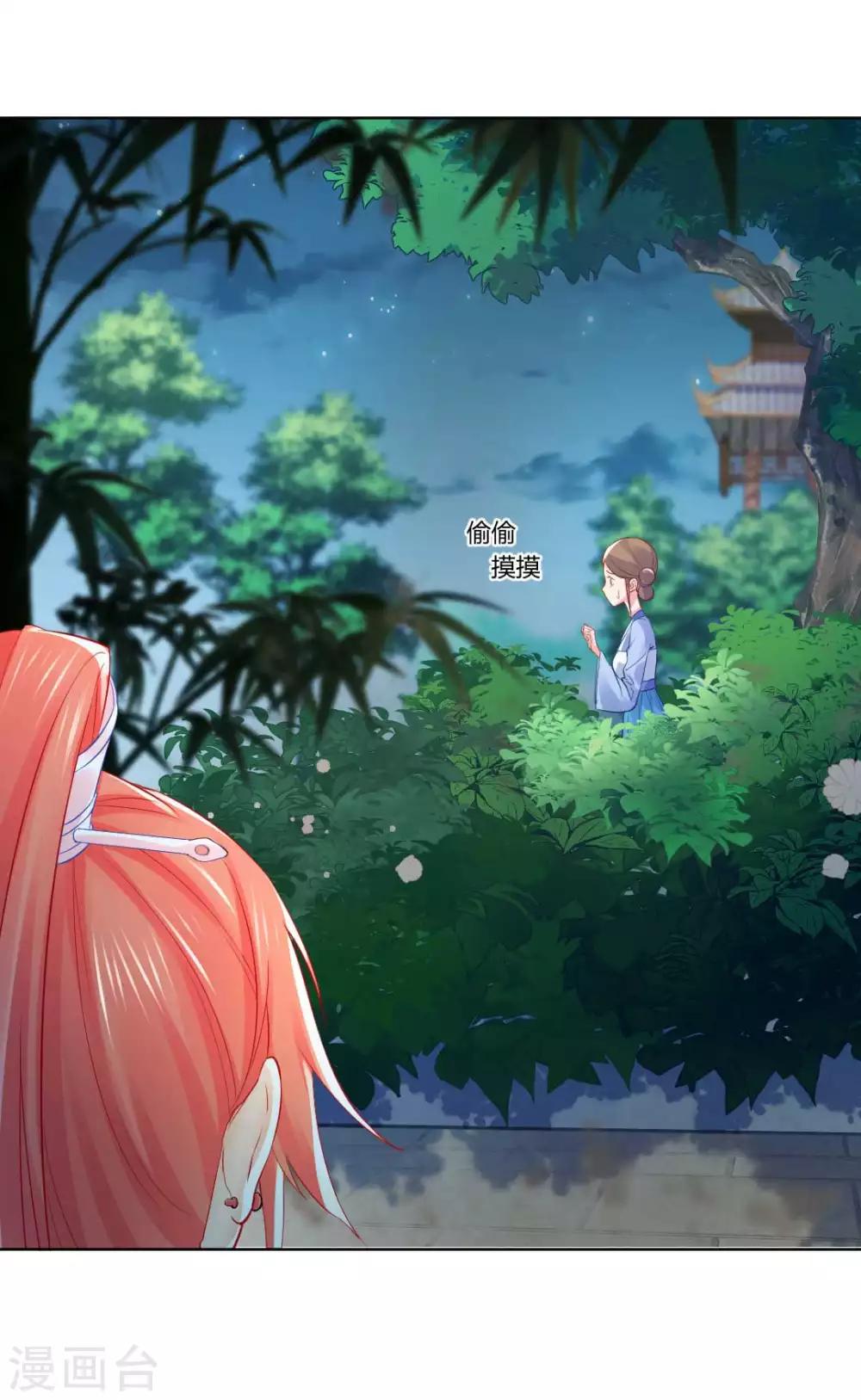 第132话 芊嫔的贺礼5