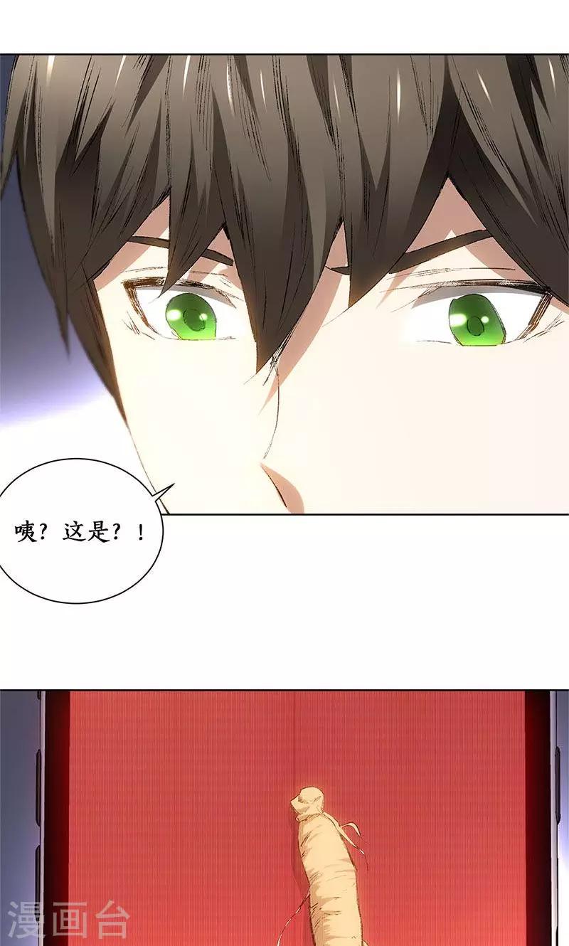 第19话 木芝草22