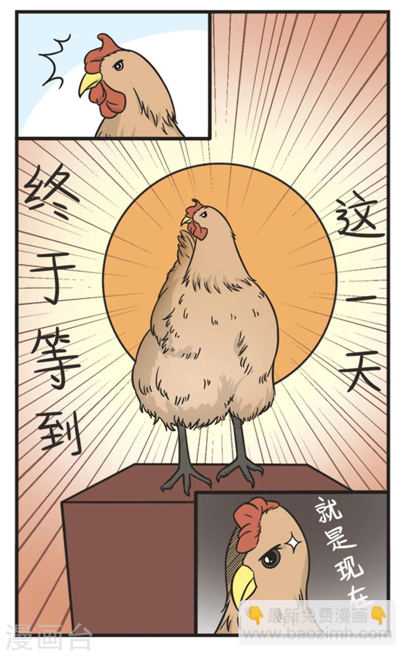 第210话 买鸡1
