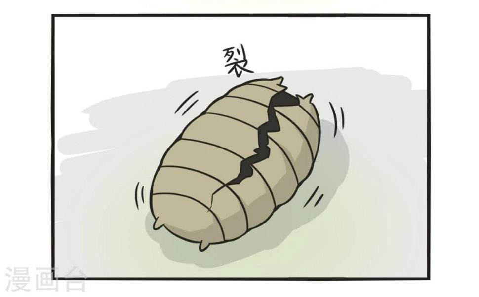 第213话 励志投胎故事6